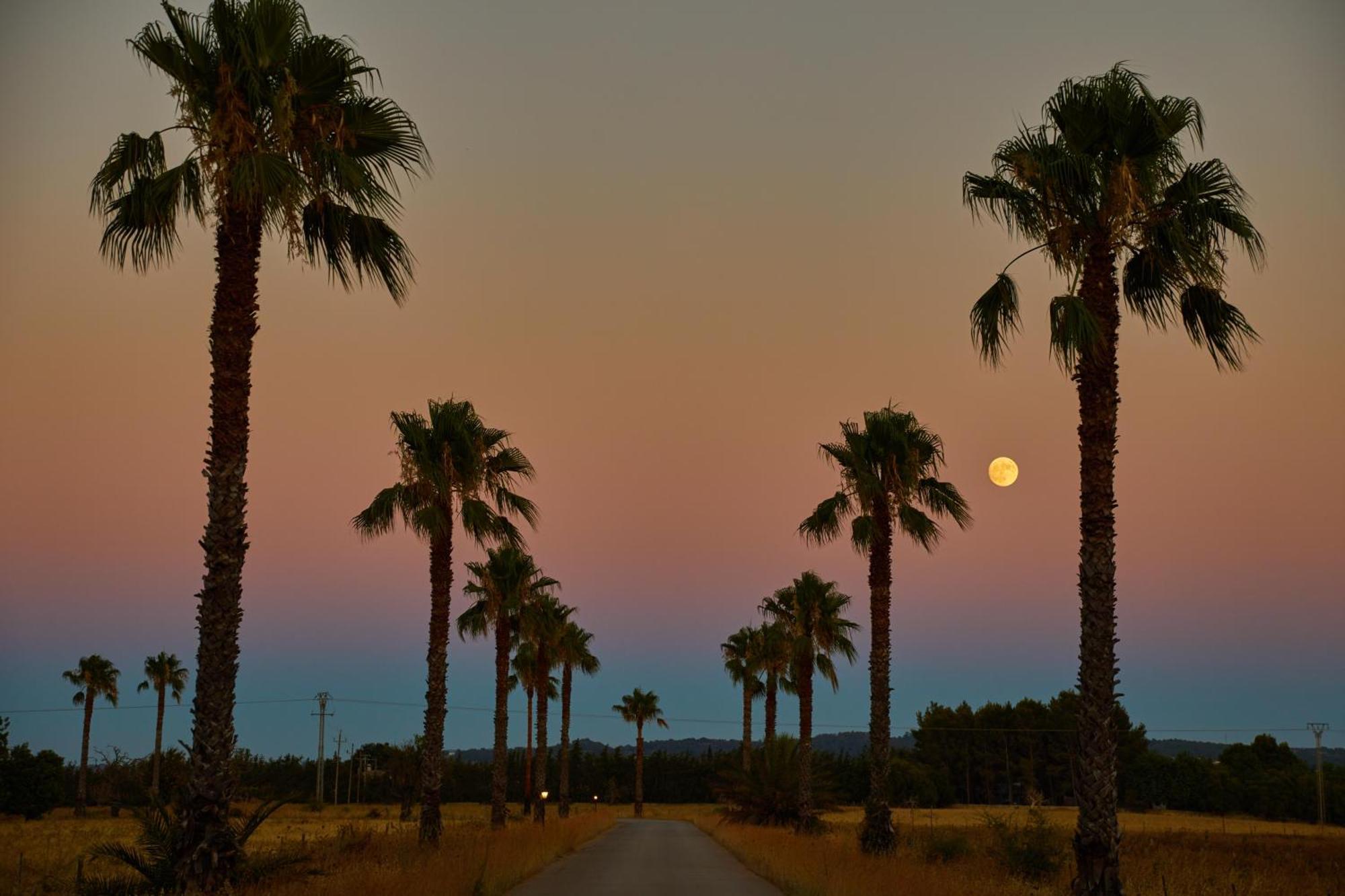 Vakantieboerderij Virrey Inca (Mallorca)